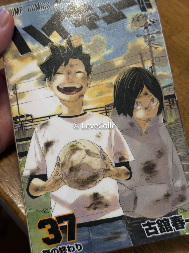 ハイキューゴミ捨て場の決戦漫画